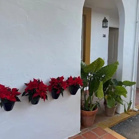 Apartamento A 8Km Sevilla Centro Valencina de la Concepcion Exterior photo