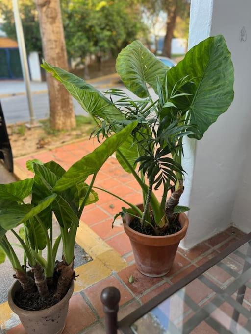 Apartament A 8km Sevilla Centro Valencina de la Concepción