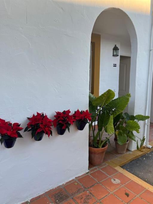 Apartament A 8km Sevilla Centro Valencina de la Concepción